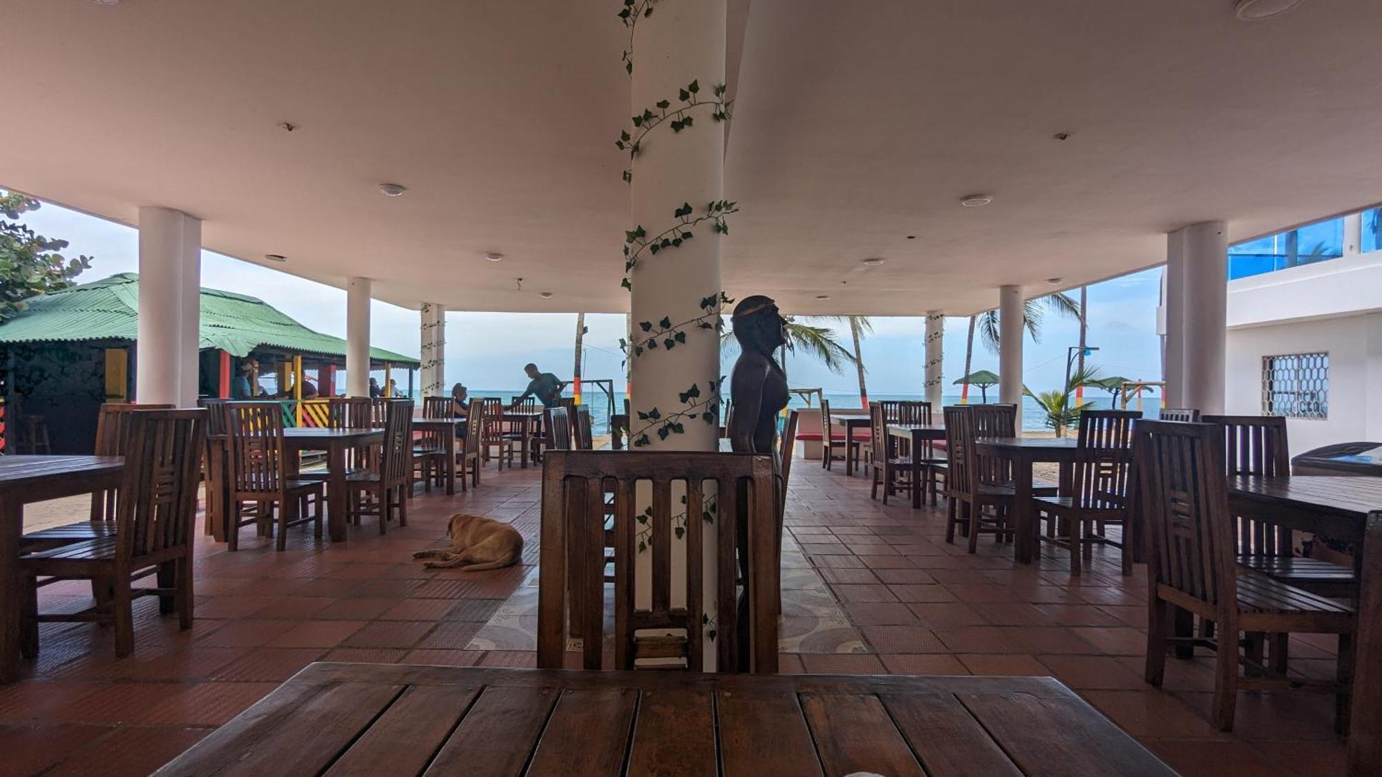 Beach Life Palomino - Beach Party Hostel & Beach Club Exterior photo